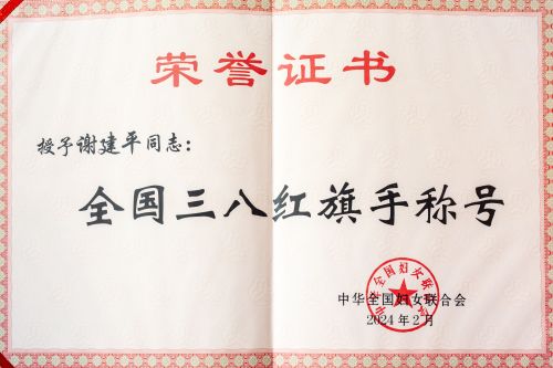 全国三八红旗手荣誉证书.jpg